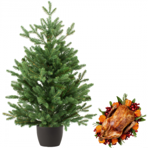 Real and Live Christmas Tree 2/3 ft with Whole Duck Hamper Gift Box